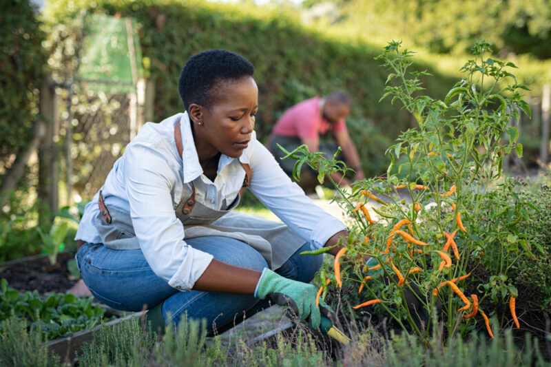 Woman gardening self care
