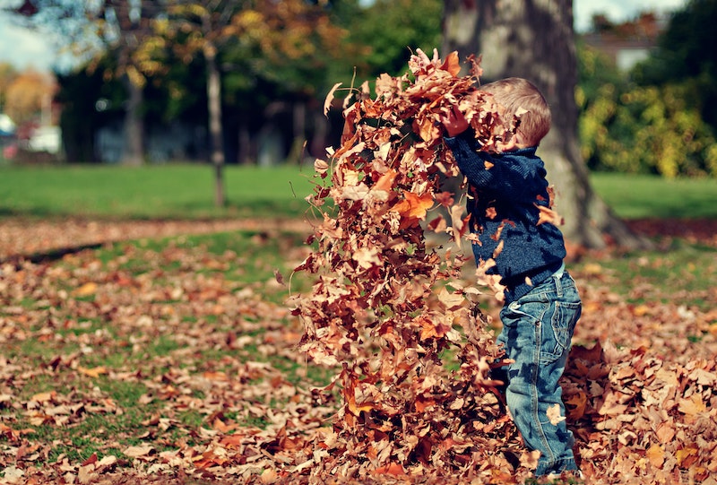 Toddler playing in fall leaves