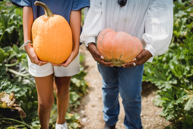 pumpkin picking for fall self care ideas