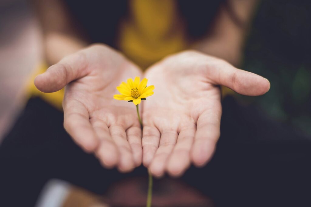 Mindfulness in Motherhood- woman holding yellow petaled flowers